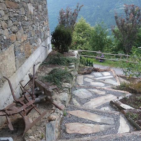 Agriturismo Al Castagneto Villa Mazzo di Valtellina Exterior foto