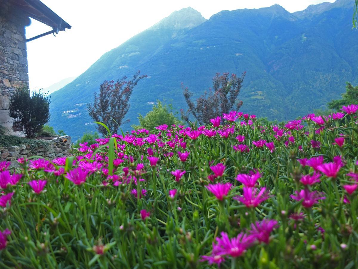 Agriturismo Al Castagneto Villa Mazzo di Valtellina Exterior foto