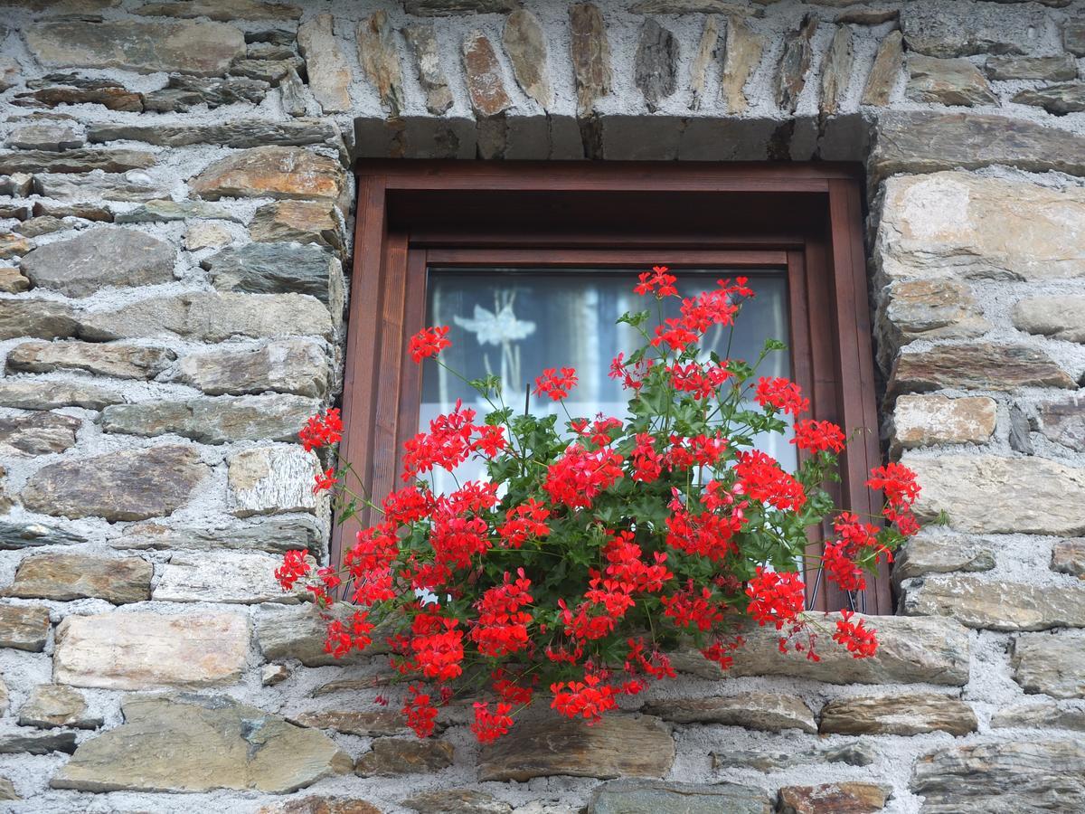 Agriturismo Al Castagneto Villa Mazzo di Valtellina Exterior foto